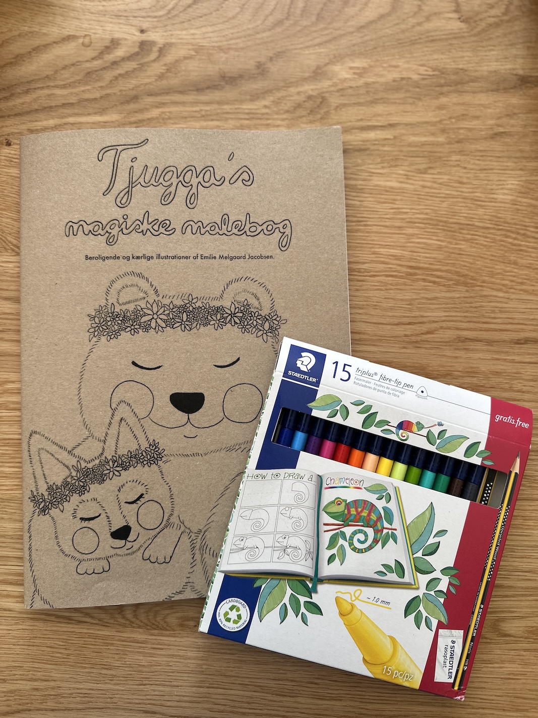 Malebogssæt med Tjugga
